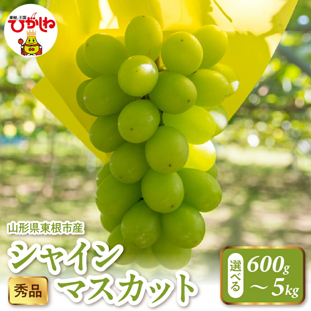 【ふるさと納税】 2025年産 シャインマスカット ( 選べる :600g 1.2kg 2kg 5kg ) 秀品 / ぶどう ブドウ 葡萄 マスカット フルーツ 果物 くだもの 期間限定 大容量 配送 先行予約 農家直送 産地直送 お取り寄せ グルメ ご当地 特産 産地直送 山形県東根市