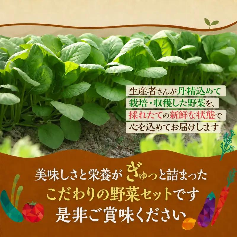 野菜 とれたて パック 定期便 3回 季節の野菜 8品 野菜