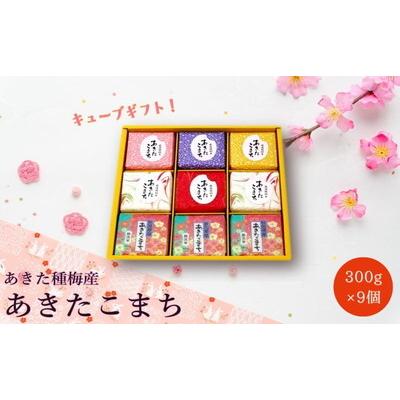 ふるさと納税 能代市 白米 無洗米 あきたこまち 300gキューブ ギフト 300g×9個[No.5335-0206]