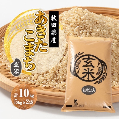 【発送月固定定期便】あきたこまち 玄米 10kg(5kg×2袋) 10月～6月発送全9回【配送不可地域：離島・沖縄県】