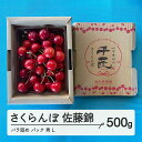 【ふるさと納税】 《先行予約》2025年 山形県産 さくらんぼ 佐藤錦 バラ詰め（パック） 500g 秀 L サクランボ フルーツ 果物 F21A-462
