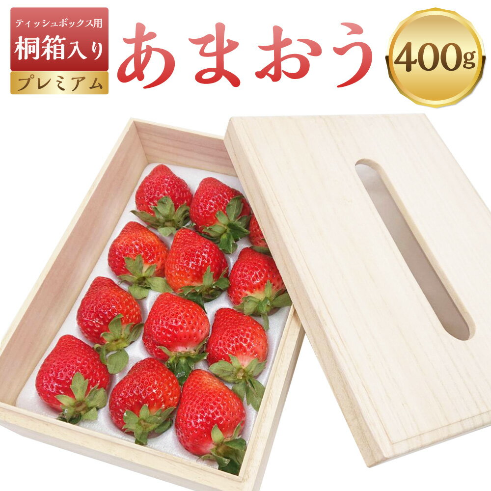 【ふるさと納税】ティッシュボックス用 特別仕様の桐箱入りプレミアムあまおう 約400g いちご 苺 イチゴ ベリー ストロベリー フルーツ 果実 果物 デザート 冷蔵 【ギフト・お祝い・贈答用】 福岡県 岡垣町 送料無料 【2026年2月上旬～4月上旬発送予定】