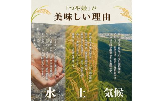 【令和8年産 】【在庫限定】【食味鑑定士厳選】 無洗米 定期便 6ヶ月 つや姫 10kg (5kg 2袋) 新米 お米 国産米 米 ご飯 おにぎり お弁当 岩沼産 東北 宮城県産 宮城米