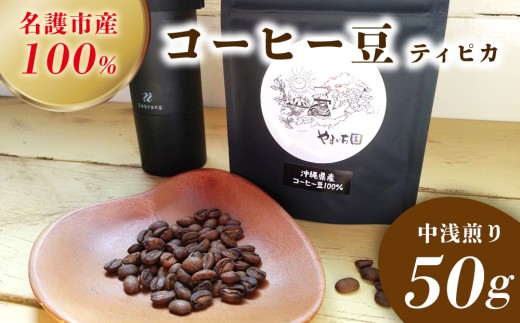 名護市産100％コーヒー豆（ティピカ）　中浅煎り　50g 沖縄県産 名護市 コーヒー コーヒー豆 ティピカ 中浅煎り おいしい おすすめ 焙煎 100％コーヒー豆 人気 お取り寄せ プレゼント お土産 ギフト 贈り物 やんばる おきなわ 名護