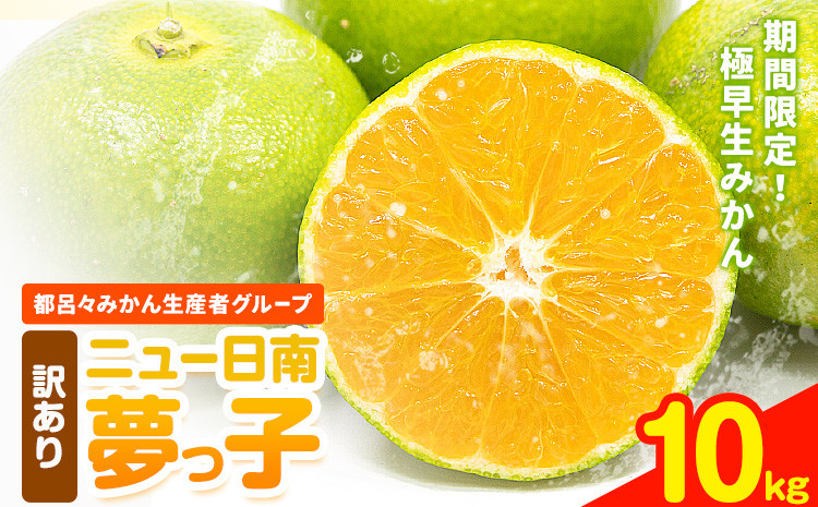 
            訳あり みかん ニュー日南 (夢っ子) 10kg 都呂々みかん生産者グループ《9月中旬-10月上旬頃出荷》フルーツ 果物 くだもの 柑橘 柑橘類 蜜柑 熊本県 苓北町【配送不可地域あり】
          