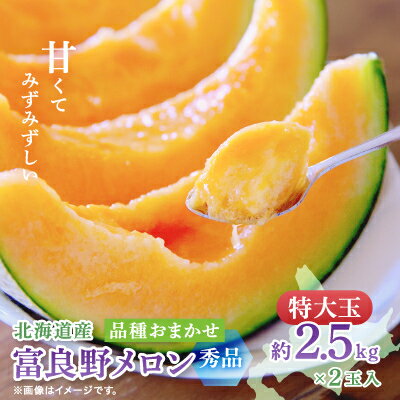 【ふるさと納税】【2027年発送先行予約】富良野メロン(赤肉) 秀品2玉 計5kg～_ メロン 富良野 北海道 ふらのメロン 赤肉 2玉 フルーツ 果物 くだもの 人気 おすすめ 送料無料 贈答 ギフト 【1614059】