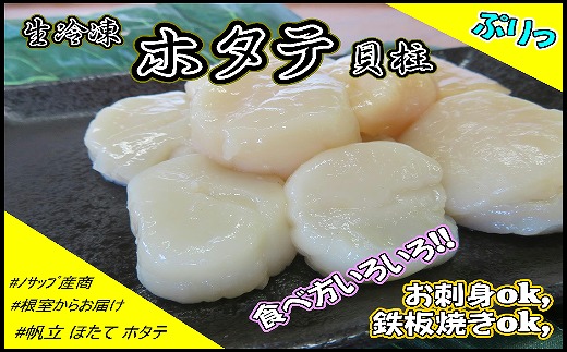 A-59018 生冷凍ホタテ貝柱300g×1P