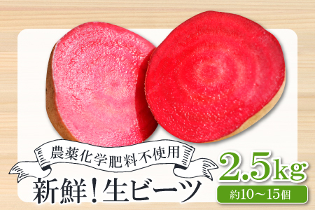 【季節限定品】農薬不使用のビーツ2.5㎏【ビーツ 食べる輸血 奇跡の野菜 無農薬 化学肥料不使用 健康野菜 スーパーフード カエンサイ ボルシチ ポタージュ スムージー スイーツ ビタミン】