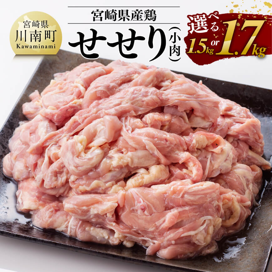 【ふるさと納税】※内容量・発送月が選べる※宮崎県産鶏せせり - 九州産 宮崎県産 お取り寄せ 肉 鶏肉 国産 九州産 宮崎県産 鶏 新鮮 パック 時短 簡単調理 鮮度満点！ 焼き鳥 焼鳥 やきとり どんぶり 炒めもの 送料無料 宮崎県川南町