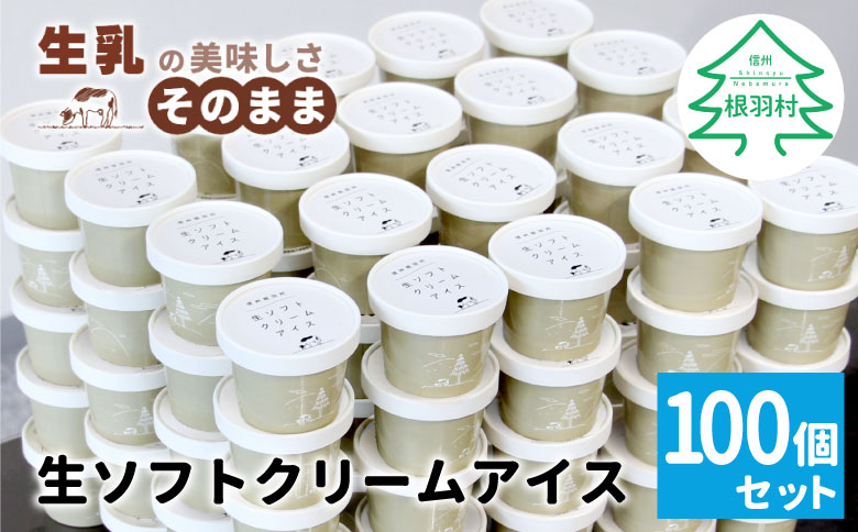 イベントやパーティにも◎生ソフトクリームアイス100個 80ml アイスクリーム ソフトクリーム アイス スイーツ お祝い パーティー 結婚式 クリスマス 景品