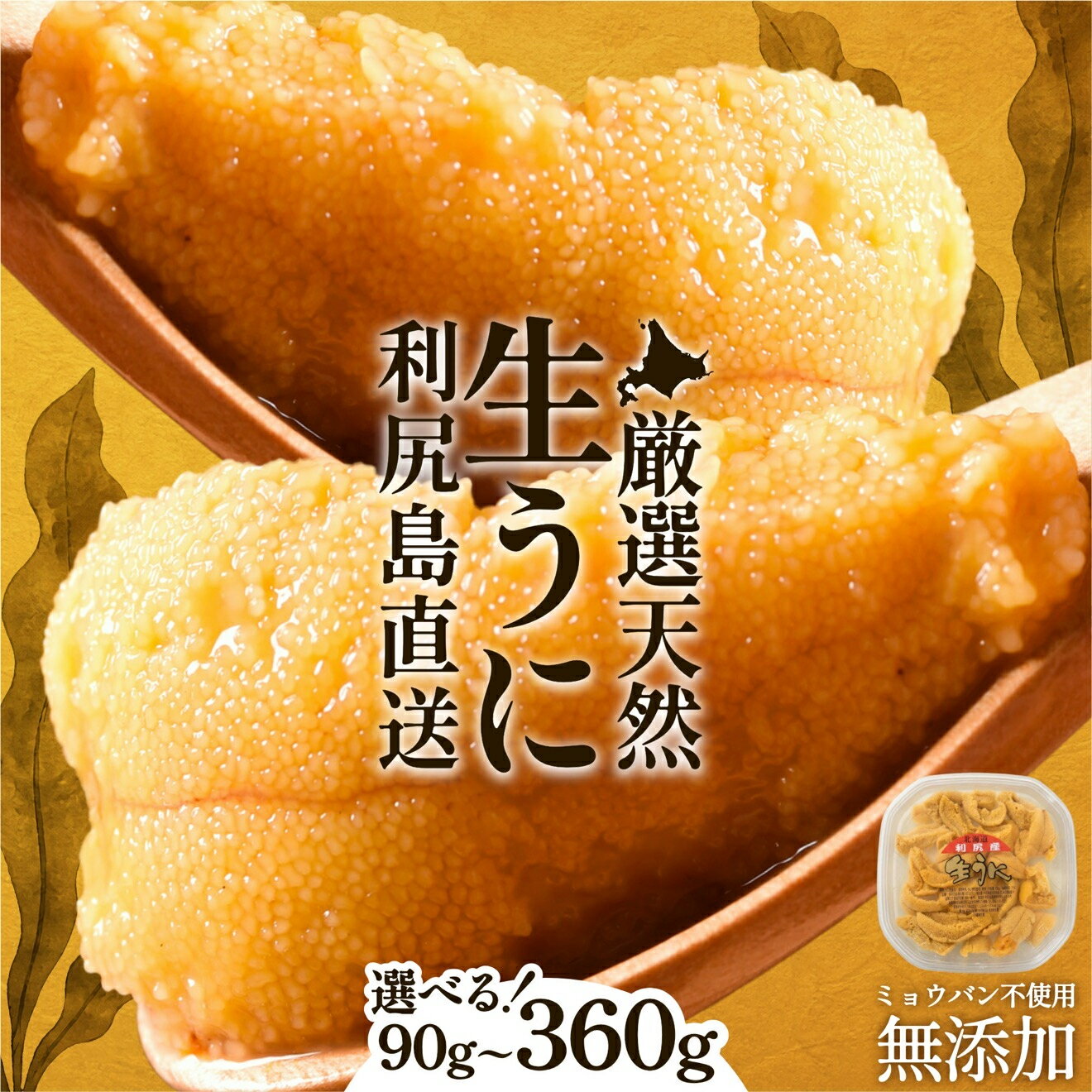 【ふるさと納税】【只今★順次発送中】 うに 塩水生うに 利尻昆布育ちの天然キタムラサキ ウニ 選べる 90g～360g 利尻島産【2026年順次出荷】｜北海道 朝獲れ 無添加 ミョウバン不使用 小分け 送料無料 瓶 なし