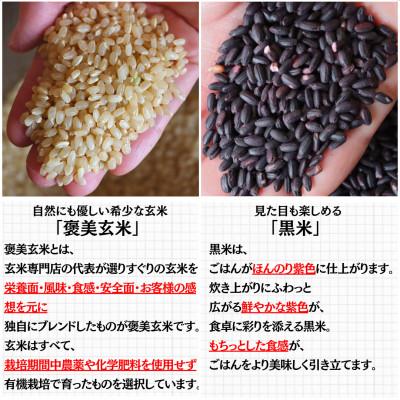 ふるさと納税 豊能町 【白米に混ぜて簡単!】国産 有機黒米ブレンド1.5kg(250g×6袋入り) |  | 02