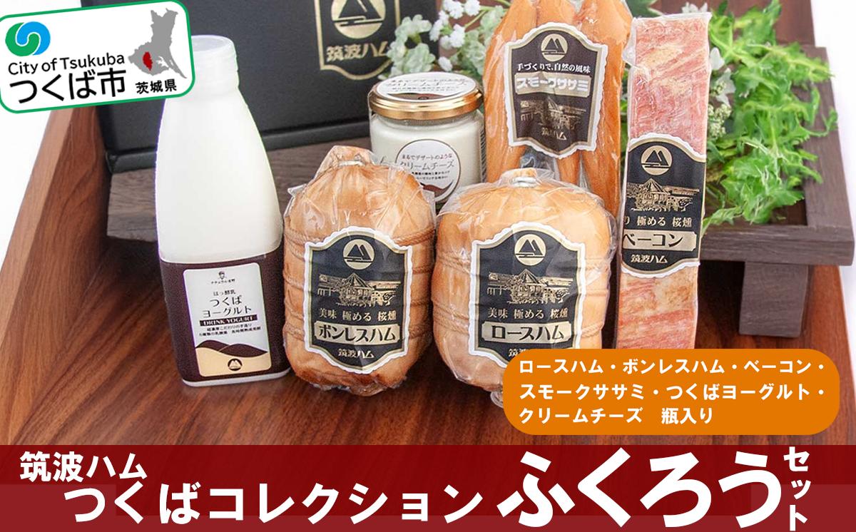 
            筑波ハム つくばコレクション ふくろうセット（ボンレスハム、ベーコン、ロースハム、スモークササミ、つくばヨーグルト、クリームチーズ）【 豚肉 豚 ぶた肉 ポーク ベーコン ハムロース ハム 燻製 スモーク ササミ 金賞 チーズ クリームチーズ ヨーグルト 茨城県産 国産 つくば市 詰め合わせ お中元 お歳暮 】
          