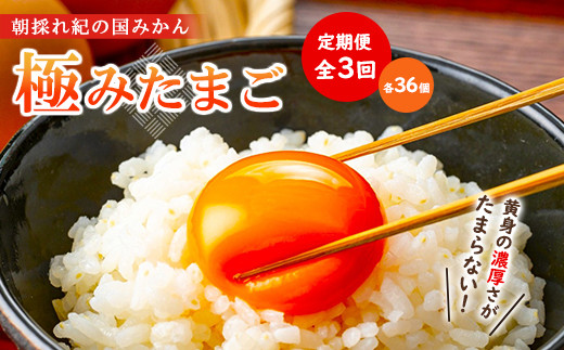 【全3回】紀の国みかん極みたまご定期便