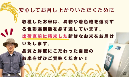 【先行予約】 令和７年産 コシヒカリ 玄米 10㎏  ＜2025年9月中旬より発送＞ 奥信濃飯山～木内ファームのお米～(7-11B) 長野県 飯山市 おすすめ ランキング おいしい 高評価 大人気 ギ