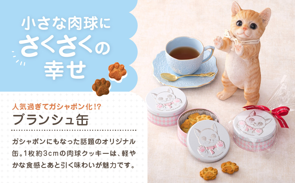 子猫のブランシュ缶クッキー　シナモン