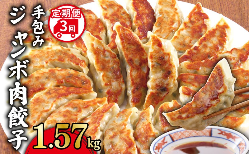 
            餃子定期便 3回 手包み ジャンボ 肉餃子 45個 冷凍 1.57kg 小分け 便利 解凍不要 ぎょうざ ギョーザ 焼き餃子 国産 豚肉 鶏肉  キャベツ ニラ ヘルシー 野菜 ニンニク たっぷり 手軽 絶品 晩ごはん 家族 子ども 弁当 惣菜 おかず おつまみ 簡単調理 ジューシー もちもち 千葉県 旭市 株式会社松央ミート mom005
          