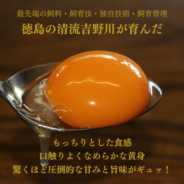 卵 赤卵 50個 (割れ保証含む) たまご アイ杉原 国産 大人気 玉子焼き 卵焼き 卵かけご飯 米 ご飯 ゆで卵 すき焼き 鳥 鶏 鶏卵 卵黄 玉子スープ 玉子焼き 生卵 産地直送 健康 ギフトお歳暮 お中元 アイ杉原の赤卵 徳島
