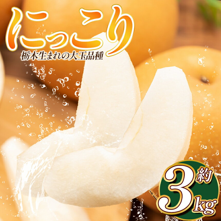 【ふるさと納税】 にっこり 3kg | 梨 なし ナシ ふるさと 納税 にっこり 果物 フルーツ デザート 送料無料 栃木県 下野市