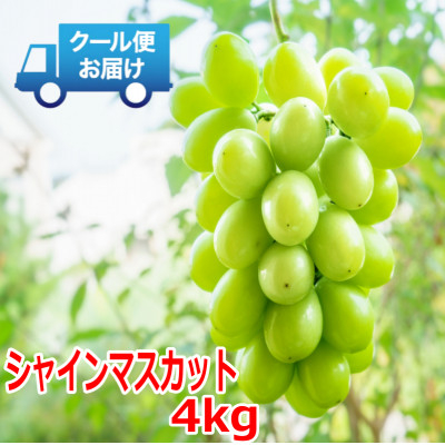 
安心のクール便発送　シャインマスカット 4kg (6～8房)【1398968】
