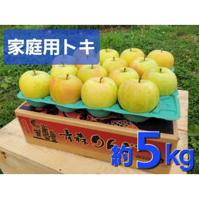 【訳あり】青森県産りんご「トキ　家庭用」約5kg　産地直送!