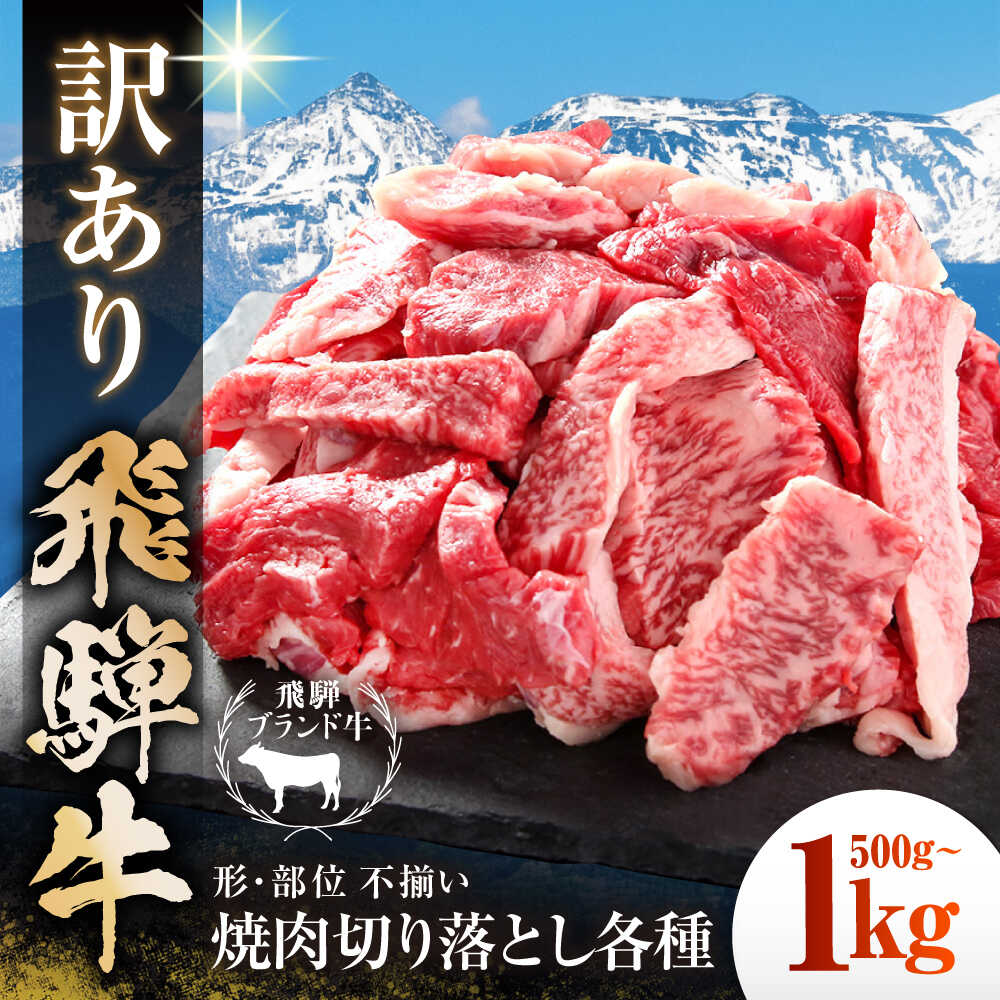 【選べる容量】 【ふるさと納税】【訳あり】 飛騨牛 焼肉 切り落とし 多治見市 / 飛騨高山ミート MZ013 冷凍 真空パック ブランド和牛[THP012]
