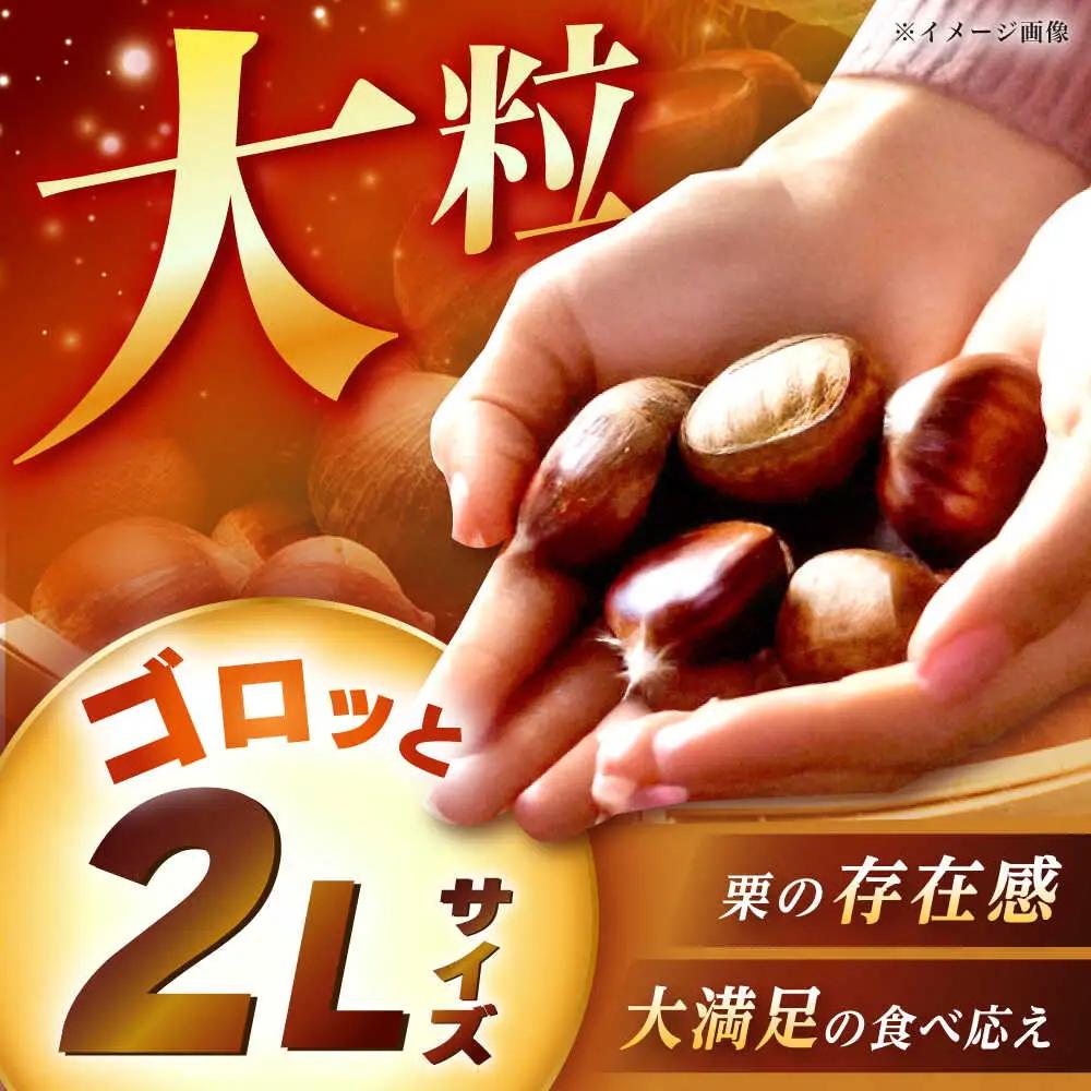 【先行予約】おやすみ栗（マロン）1kg（2Lサイズ） / 恵那市 / えな笠置山栗園 [AUAV004]