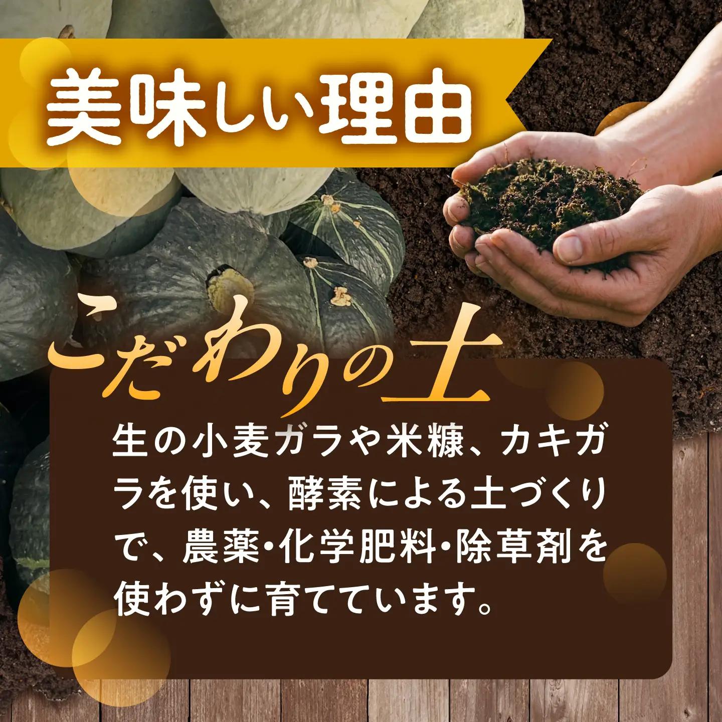 【先行予約】北海道 かぼちゃ ダークホース・とっておき・特濃こふき 3種類×1個 【9月中旬以降発送】足寄町/足寄アグリバイオ株式会社 [BEAC012]