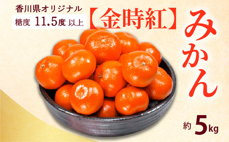 【先行予約】香川県オリジナルみかん 「金時紅」 約5kg フルーツ ふるーつ 果物 くだもの 三豊市【配送不可地域：北海道・沖縄県・離島】_M02-0024