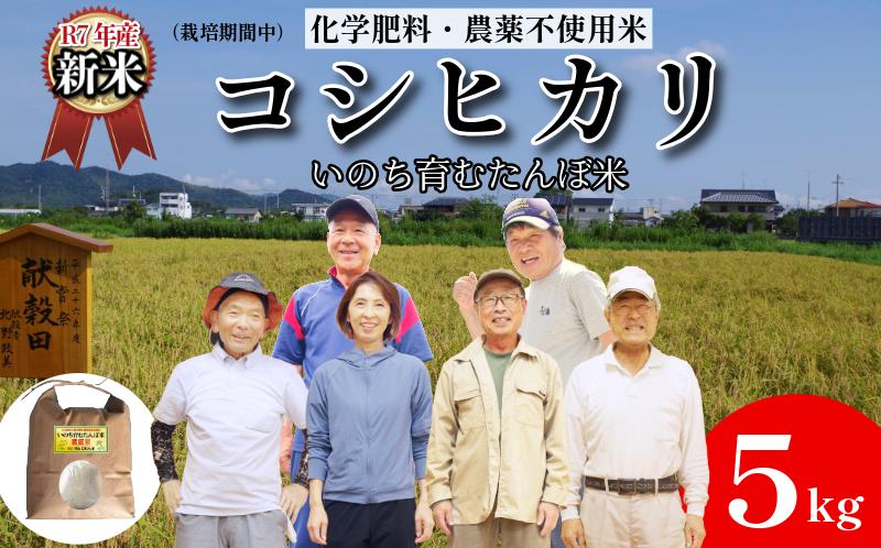
            【令和7年産新米】米 コシヒカリ 5kg 天皇献上米 (栽培期間中）化学肥料・農薬不使用米 白米 精米 こめ  ご飯 備蓄米 ごはん 新米  環境 に優しい 小松島 上王子特質米 5kg
          