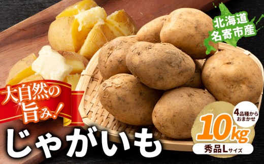 北海道名寄産 じゃがいも 10kg 秀品 Lサイズ《2026年10月上旬～12月下旬出荷予定》北海道 名寄市 野菜 馬鈴薯 旬 カレー グラタン コロッケ じゃがバター