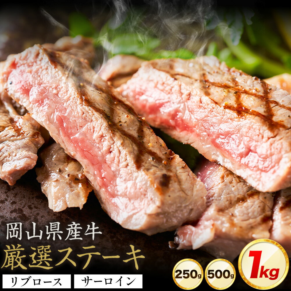 【ふるさと納税】岡山県産牛 ステーキ サーロイン or リブ 交雑牛 選べる 250g 500g 1kg お試し 大容量《60日以内に出荷予定(土日祝除く)》 岡山県 笠岡市 肉 ステーキ 送料無料