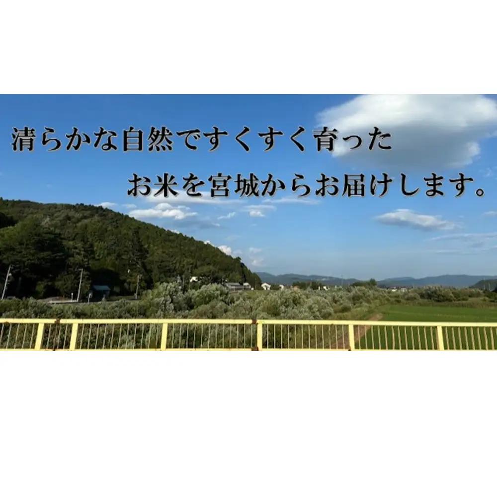 米 ひとめぼれ 精米 5kg 令和7年産 白米 ヒトメボレ お米 ごはん ご飯 5キロ 産地直送 米処 美味しい おこめ こめ さっぱり
