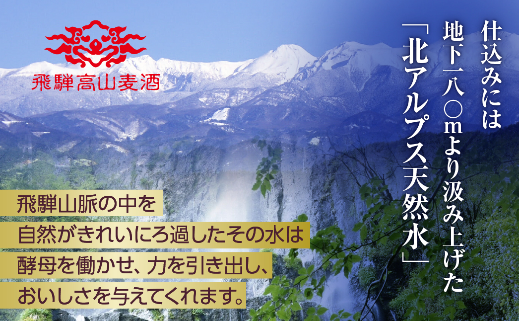 飛騨高山麦酒 ヴァイツェン500ml 6本セット クラフトビール 地ビール   お酒 ビール 飛騨高山 プレミアム 家飲み おうち時間 ヴァイツェン 酒 父の日  セット 贈答用 詰め合わせ FS02