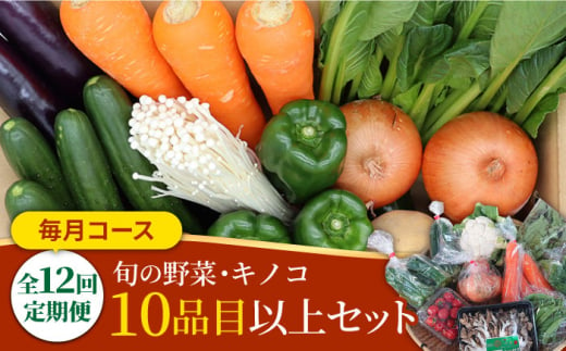 【12回定期便】野菜定期便 キノコをセット「12回（毎月）」お届け 10品目以上 詰め合わせ 12回  / 定期便 野菜 やさい 春野菜 夏野菜 秋野菜 冬野菜 旬 / 南島原市 / 吉岡青果 [SCZ007]