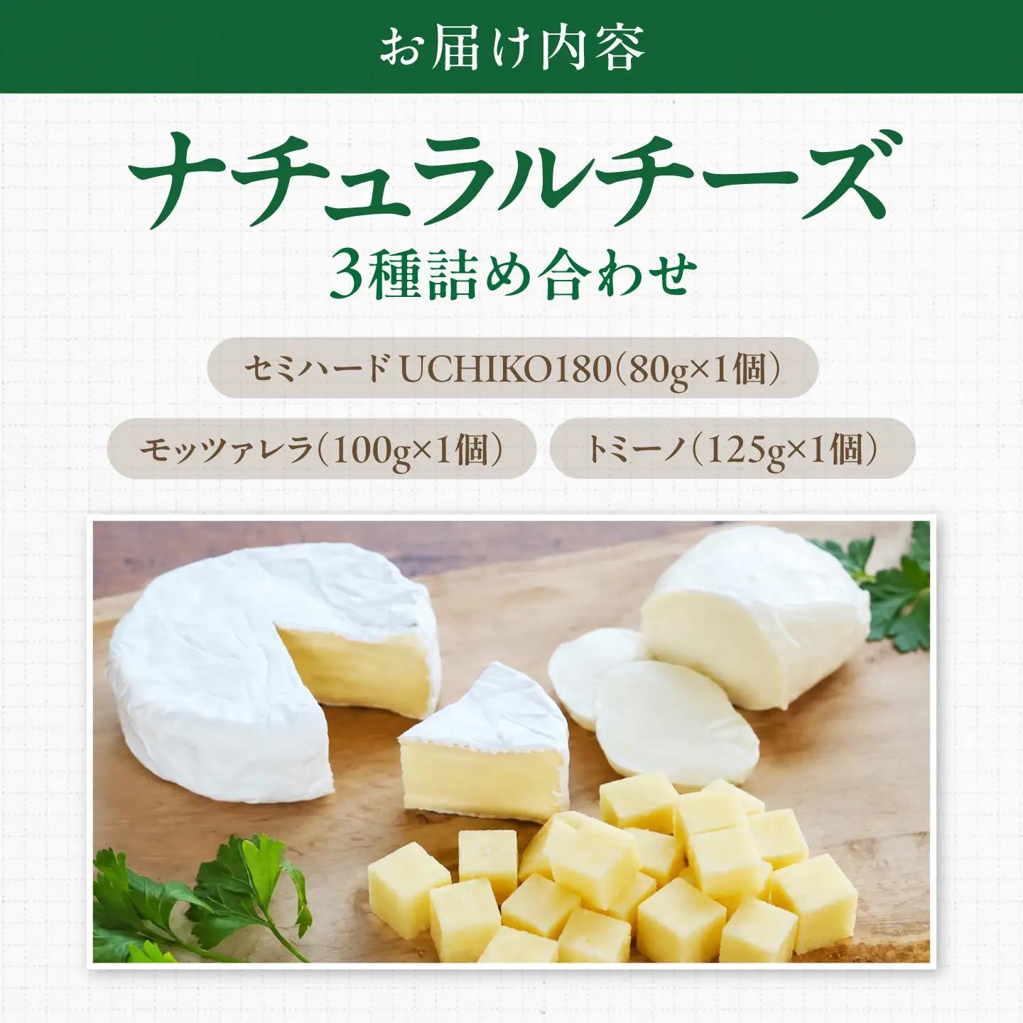 山地放牧酪農ミルクのナチュラルチーズ3種詰め合わせセット BKAH002 チーズ