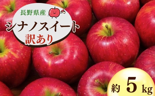 【2026年先行予約】千曲市産 シナノスイート りんご 約5kg 訳あり 家庭用 | 林檎 リンゴ アップル 果物 くだもの フルーツ 5キロ わけあり 訳アリ お取り寄せ 産地直送 長野県産 信州林檎 信州りんご 信州 長野 千曲市