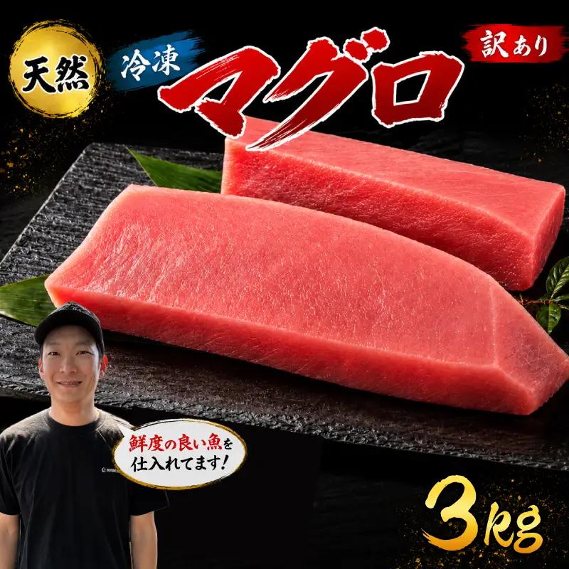 訳あり マグロ 天然 まぐろ 3kg マグロ刺身