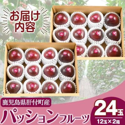 ふるさと納税 肝付町 《先行受付》鹿児島県産 パッションフルーツ (約2.2kg・12玉入り2箱)　A68002 |  | 03