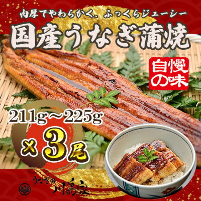 【ふるさと納税】【冷凍3尾】岬町自慢の味　うなぎの川島家　国産うなぎ蒲焼　大サイズ(211g～225g)特製タレ付き【配送不可地域：離島】【1488341】