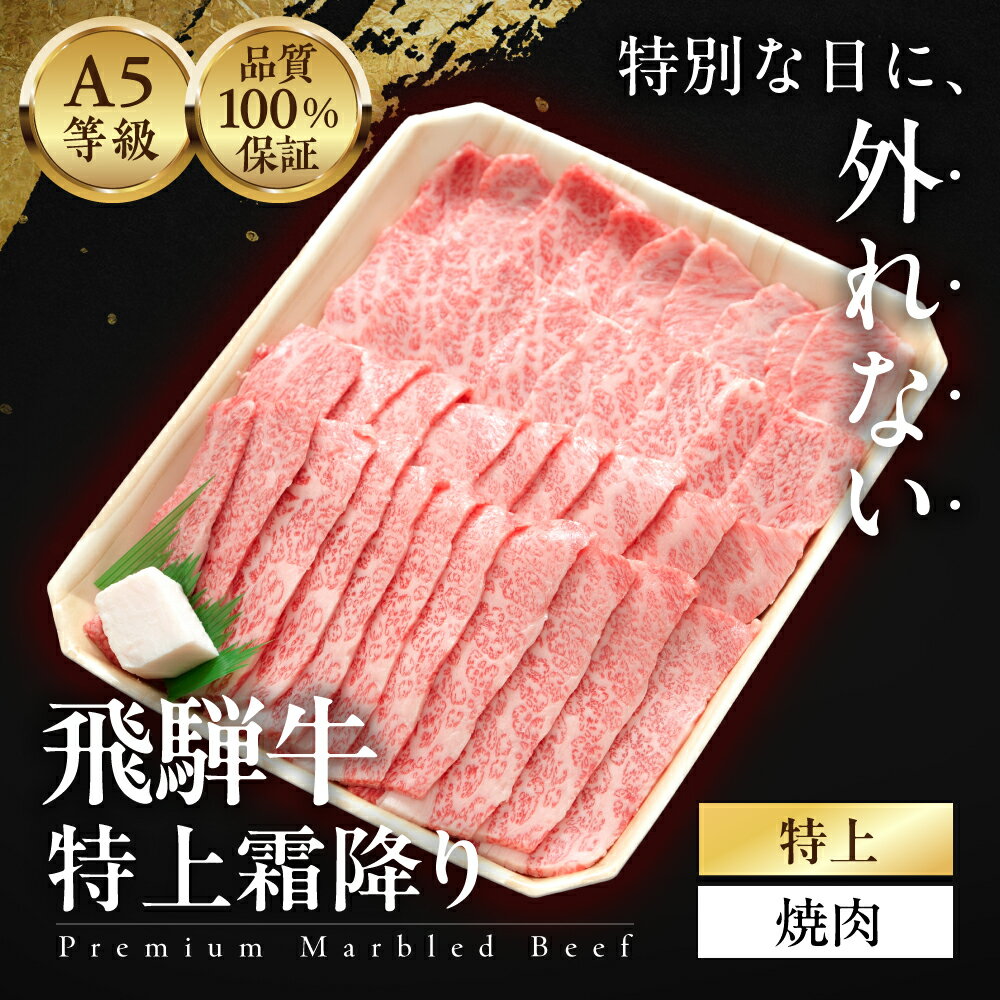 【ふるさと納税】≪品質100%保証≫ A5等級飛騨牛 特上霜降り焼肉 1kg/ 500g/ 300g