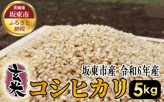 
No.388 玄米　コシヒカリ5kg【令和6年産】 ／ おこめ こしひかり げんまい 茨城県
