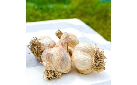 【先行予約】訳あり 植田ファームの自然乾燥にんにく800g〈2026年06月上旬から発送〉 800グラム ニンニク ガーリック お酒 料理 醤油漬け ガーリックオイル ペペロンチーノ パスタ スパゲッ