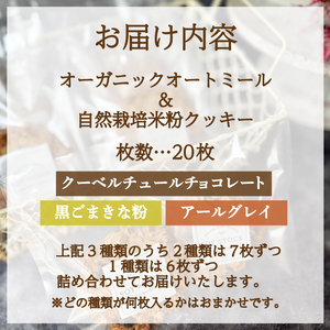 クッキー 20枚セット クッキー KF001-3-x