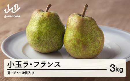 山形県産 小玉ラ・フランス 秀 3kg (12~13個入り)  ラフランス 洋梨 nf-lasyk3
