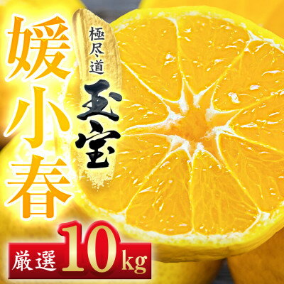 【ふるさと納税】【愛媛名産】玉宝媛小春(ひめこはる)　10kg【H64-88】【1623971】