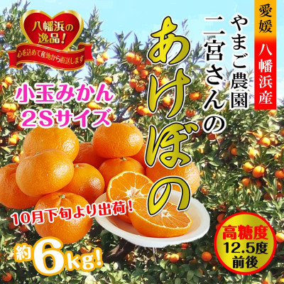 濃厚!やまご農園の「あけぼの小玉」約6kg【C39−21】【配送不可地域：離島・北海道・沖縄県】【1148837】