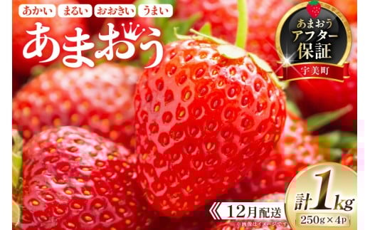 期間限定 いちご あまおう 250g×4パック【12月発送】 [増田青果 福岡県 宇美町 um40beq650001] 先行予約 苺 イチゴ フルーツ 果物 果実 甘い あまい 季節限定