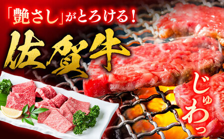 佐賀牛 焼肉用 500g やきにく ブランド牛[FDB008]