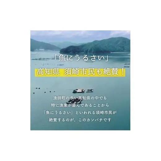 【 カンパチ 】 カンパチ1節